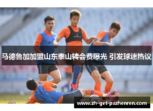马德鲁加加盟山东泰山转会费曝光 引发球迷热议 马德鲁加加盟山东泰山转会费曝光 引发球迷热议